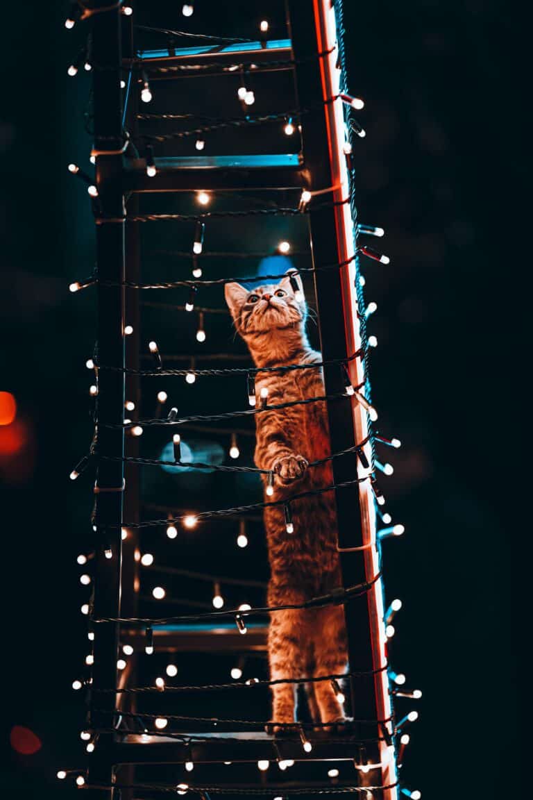 2 watt LED Flex-Neck Reading Light Review