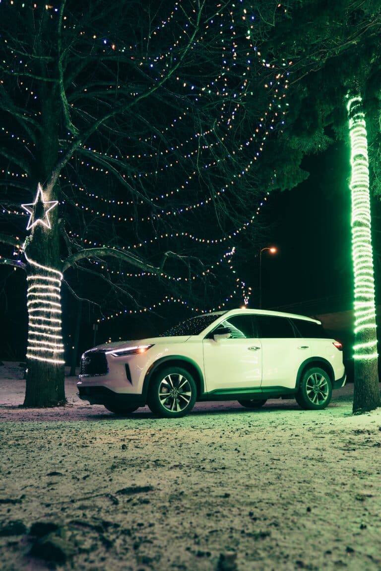 Flexilight Xtra Pink Flowers (Booklight) Review