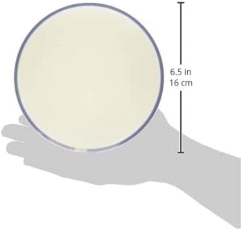 Philips Hue Go White and Color Portable Dimmable LED Smart Light Table Lamp Review