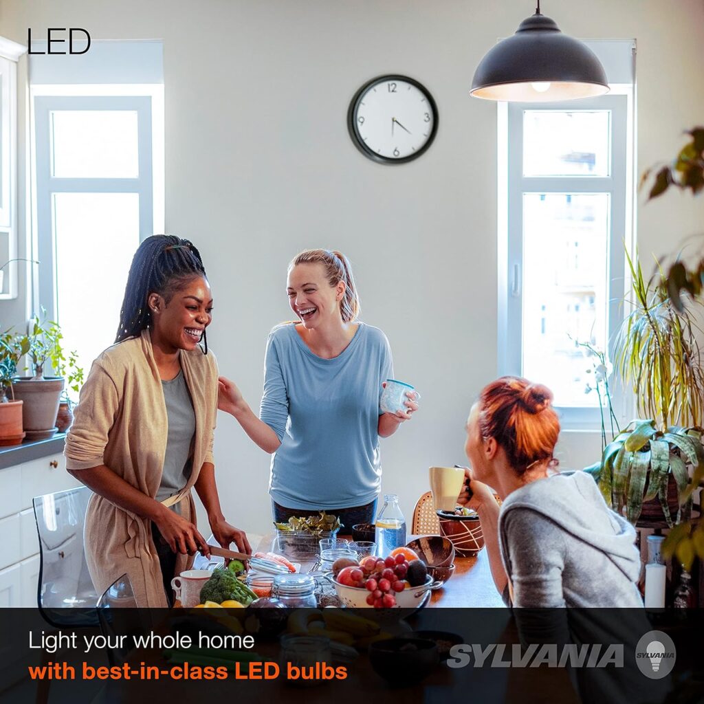 SYLVANIA LED A19 Light Bulb, 60W Equivalent, Efficient 8.5, 10 Year, W, 5000K, 800 Lumens, Frosted, Daylight - 24 Pack (74766)