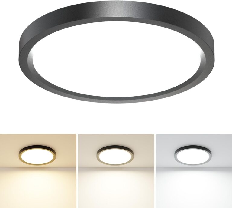 6PACK LED Flush Mount Ceiling Light Review