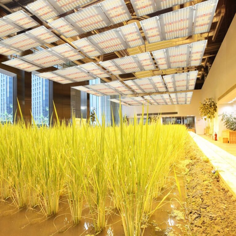 Barrina BU2000 LED Grow Light Review