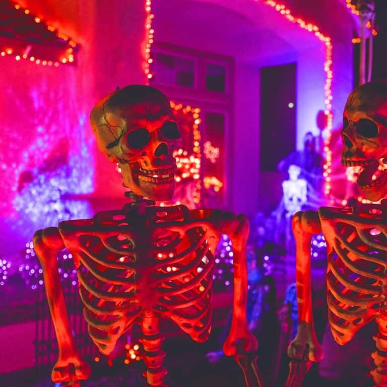 Brightown Fairy Lights Review