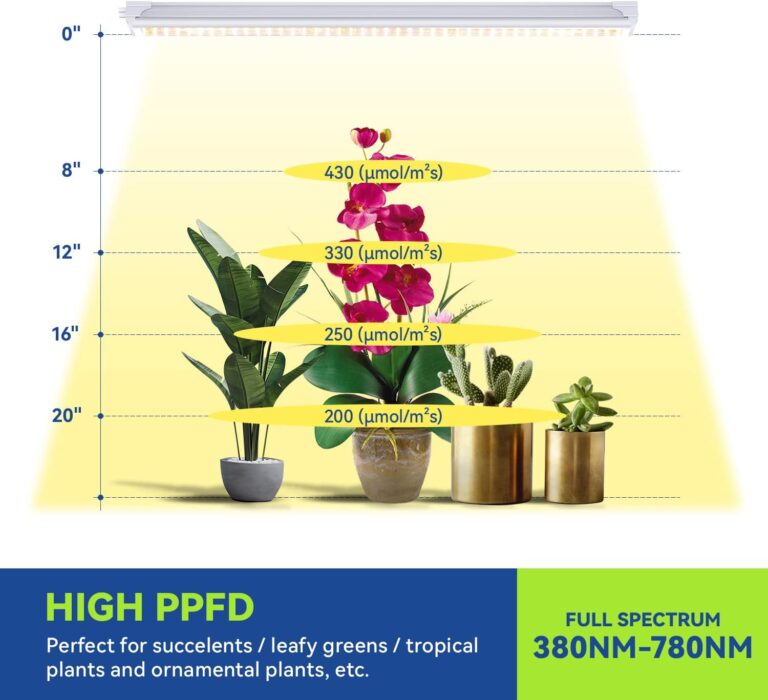 Monios-L Grow Lights Review