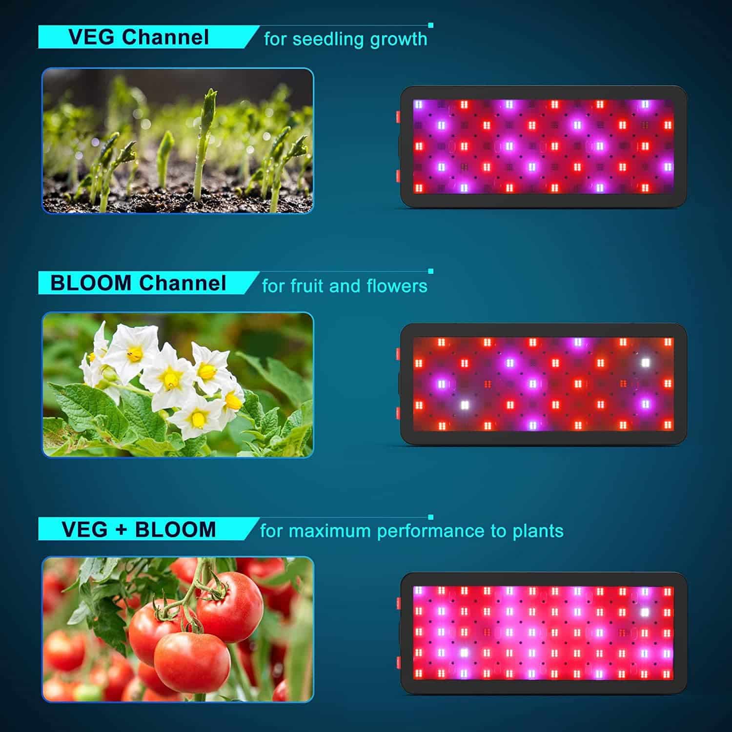 Phlizon Upgraded 600W LED Plant Grow Light with SMD LEDs Full Spectrum Plants Light Double Switch Grow Led for Indoor Plants Veg and Flower- 600W (600W)