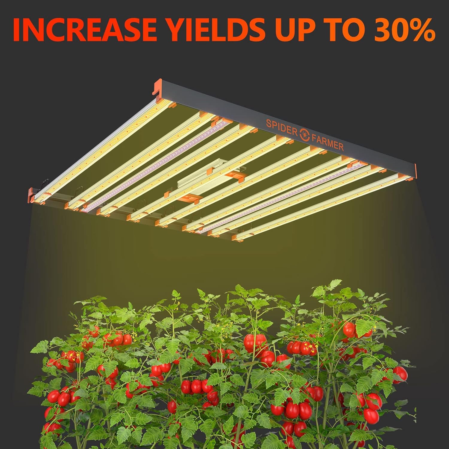 Spider Farmer UV30 UV Supplemental LED Grow Light 30W 365-420nm Compatible with SE7000, SE1000W, G8600, G1000W Commercial Grade Grow Lights UVA Supplemental Bar for 2X4, 4X4, 5X5 Grow Tents