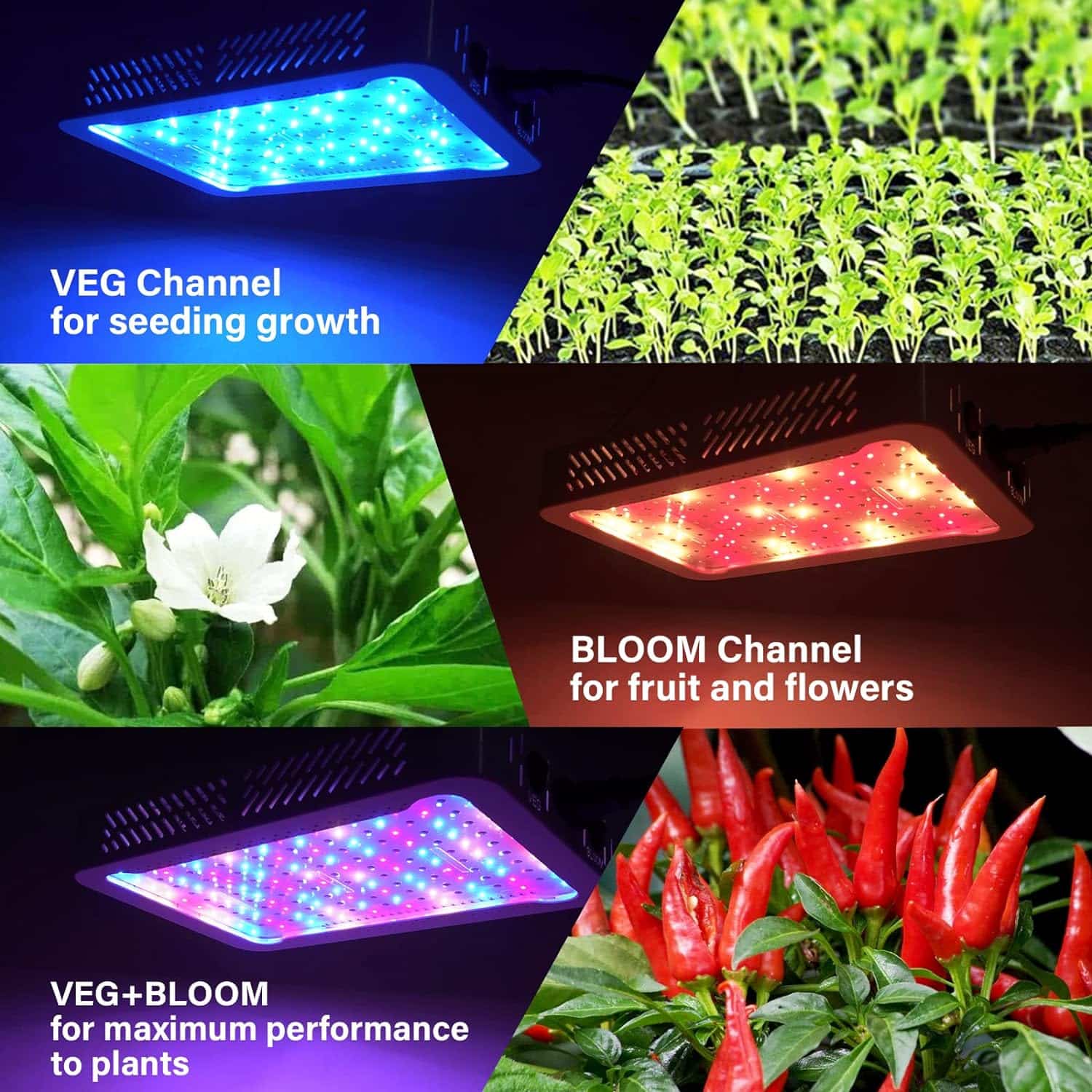 TATU 1000w LED Grow Light for Indoor Plants, Full Spectrum Plant Light Growing Lamp for Hydroponic Indoor Plant Veg and Flower for Grow Tent (Actual Power 100W=1000W HPS)