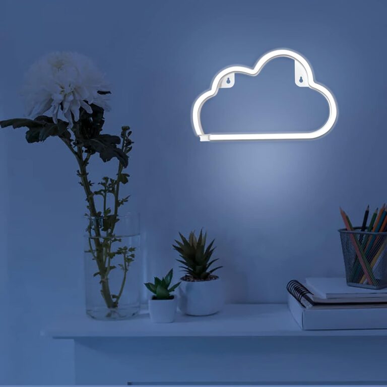 Cloud Neon Signs Review