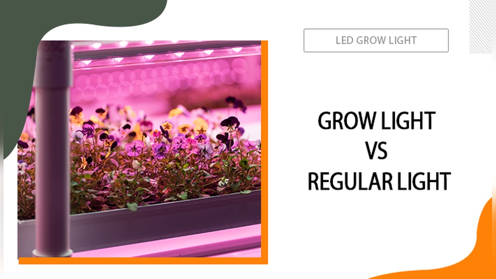 Compare Led Grow Lights