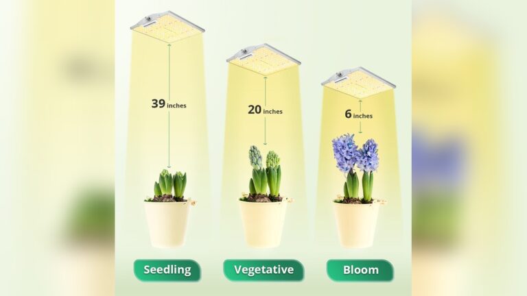 How Long Should Led Lights Be on
