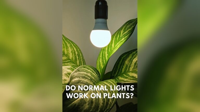 Led Lights to Help Plants Grow