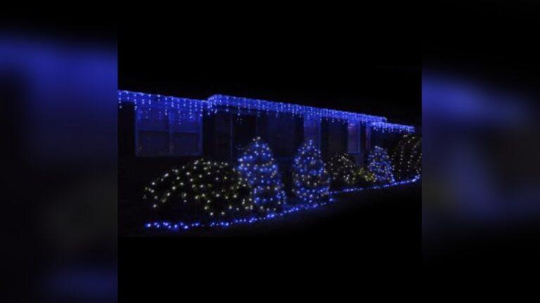 Which Led Lights Look Blue